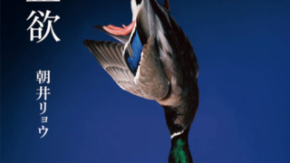 Thumbnail of post image 075